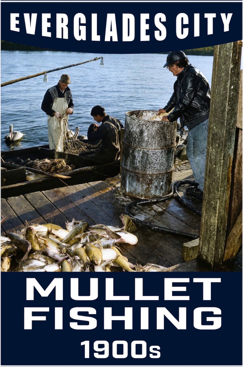 Mullet Fishing
