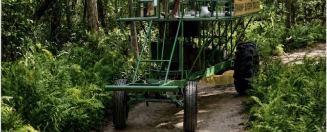Swamp Buggy